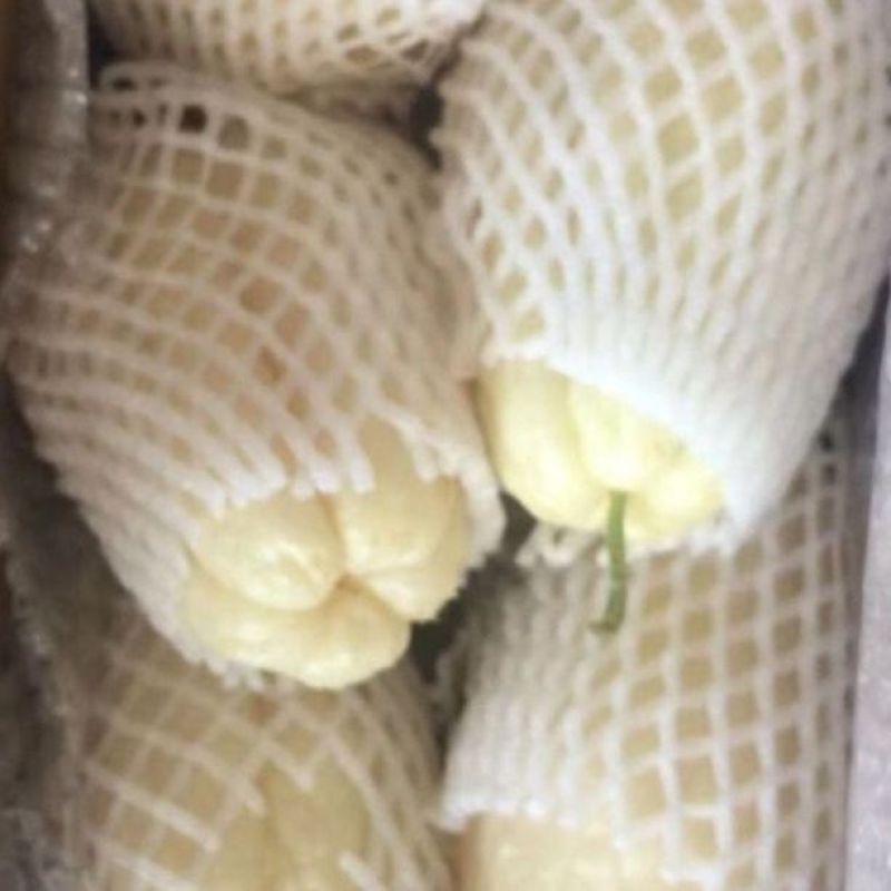稀有名贵品种：白玉佛手瓜白色猪肉瓜北瓜薄皮全白