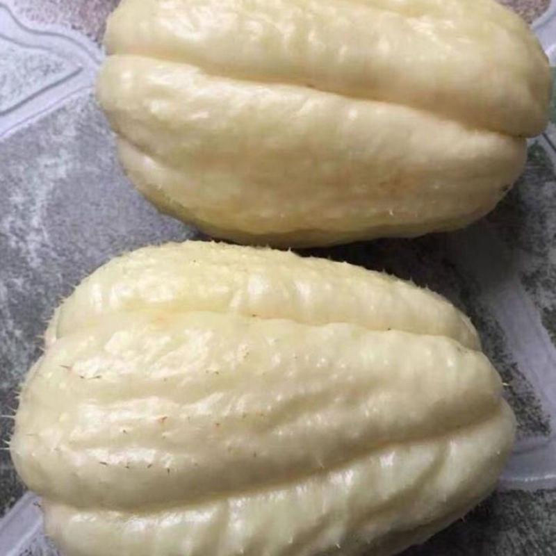 稀有名贵品种：白玉佛手瓜白色猪肉瓜北瓜薄皮全白