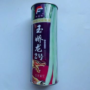 玉娇龙2号白芸豆种子，春秋耐热品种种子白绿色，种子