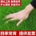 天津高羊毛高羊茅绿化草品质保证诚信经营欢迎联系