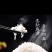 精品香米产地直发大量供应有机肥料种植