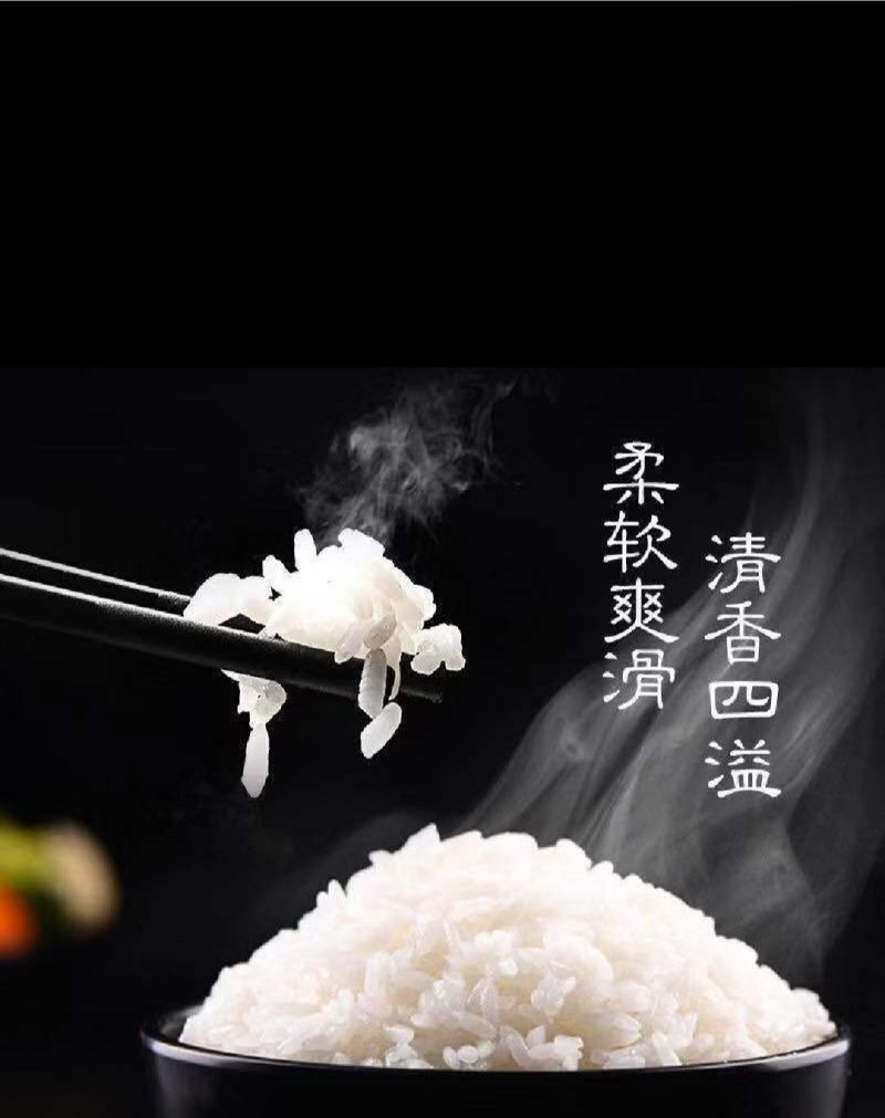 精品香米产地直发大量供应有机肥料种植