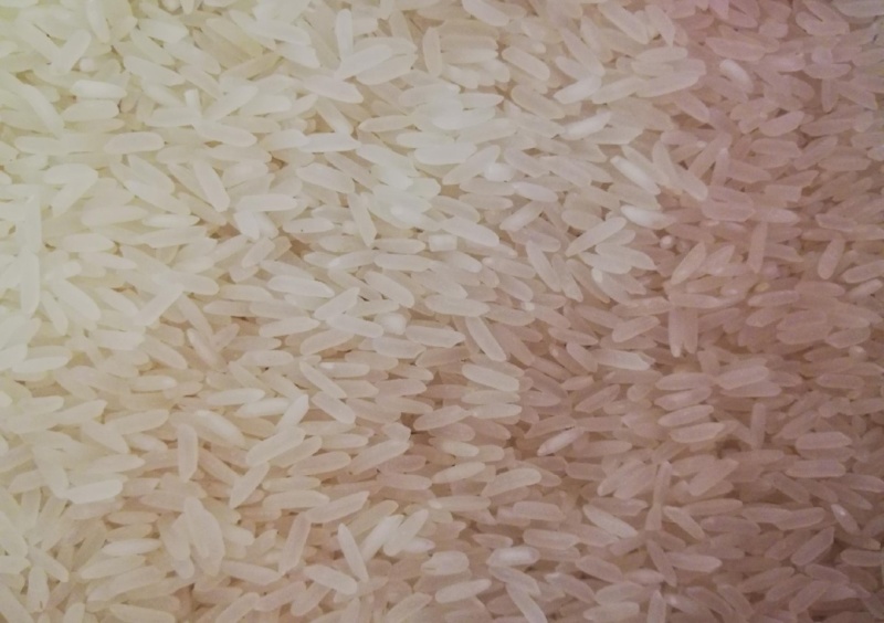 精品香米产地直发大量供应有机肥料种植