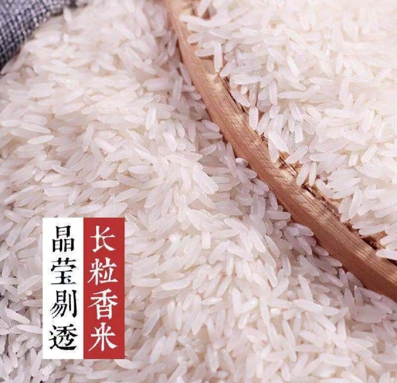 精品香米产地直发大量供应有机肥料种植