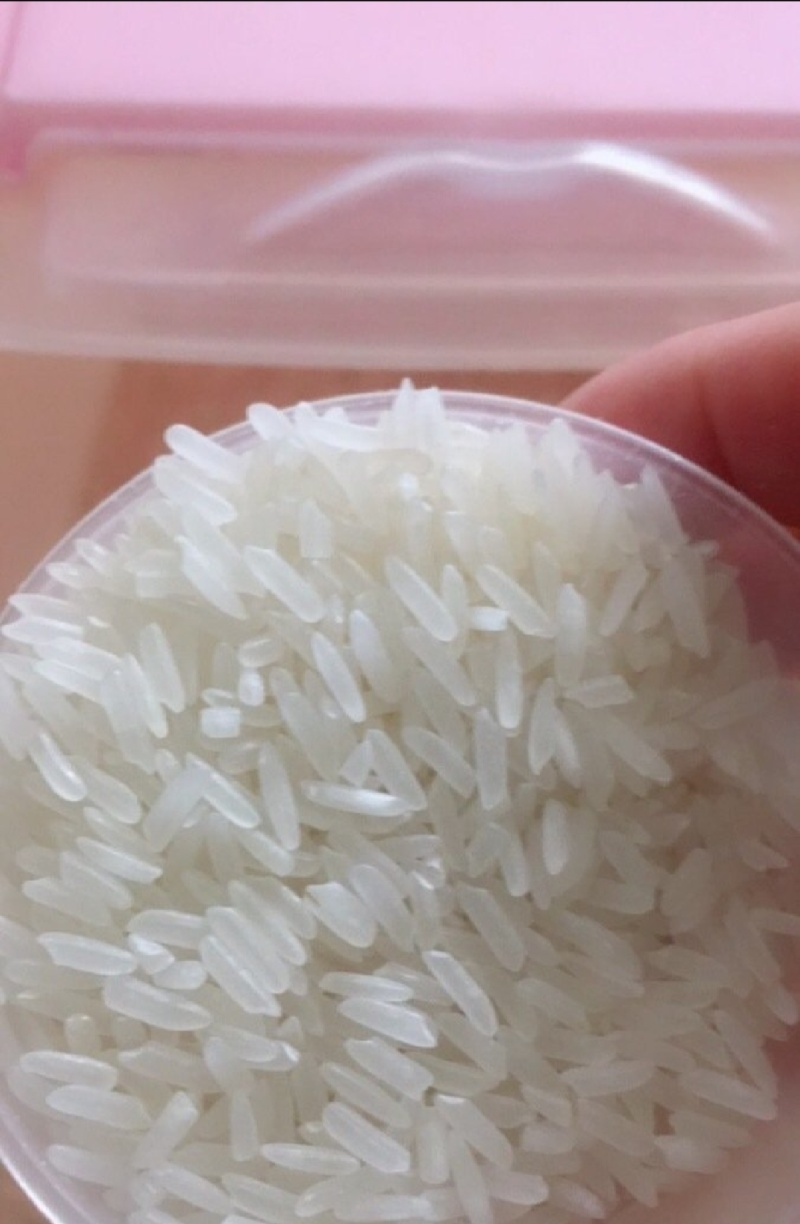 精品香米产地直发大量供应有机肥料种植