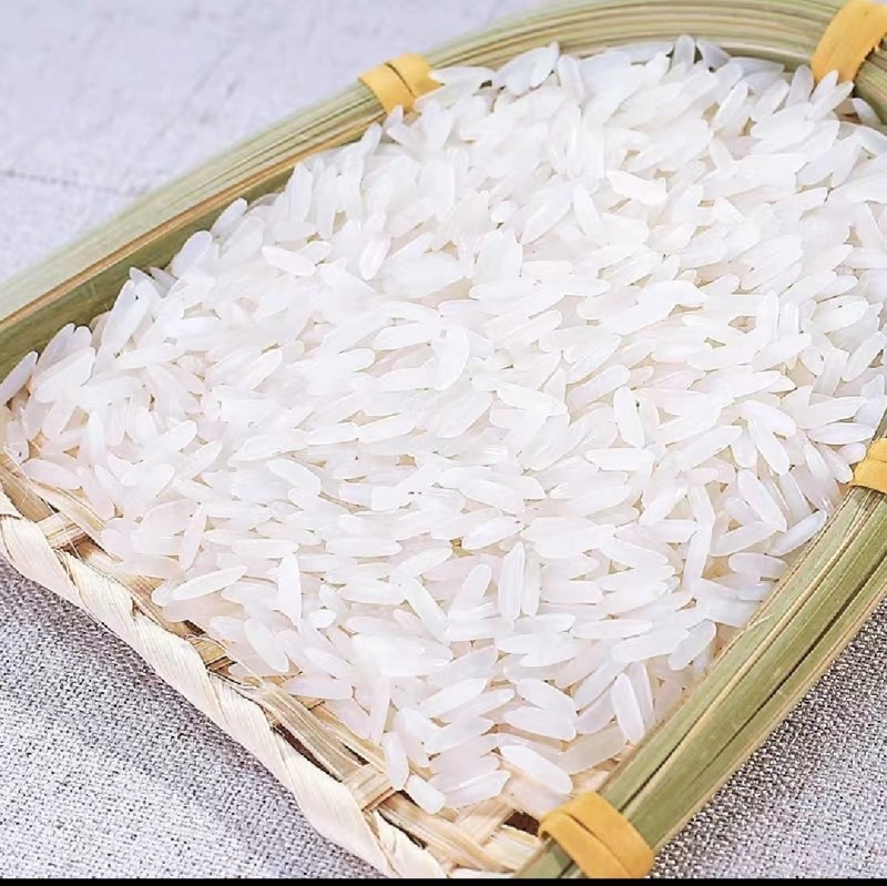 精品香米产地直发大量供应有机肥料种植