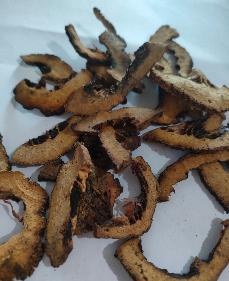 精品枳壳产地直发大量供应现货直发有机肥种植
