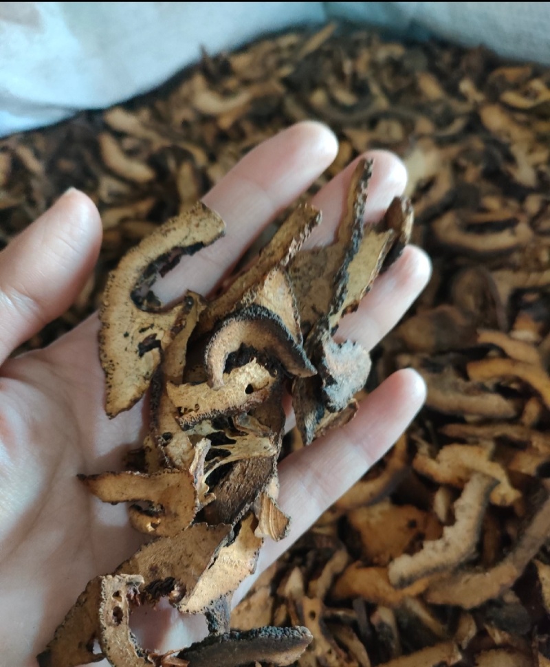 精品枳壳产地直发大量供应现货直发有机肥种植