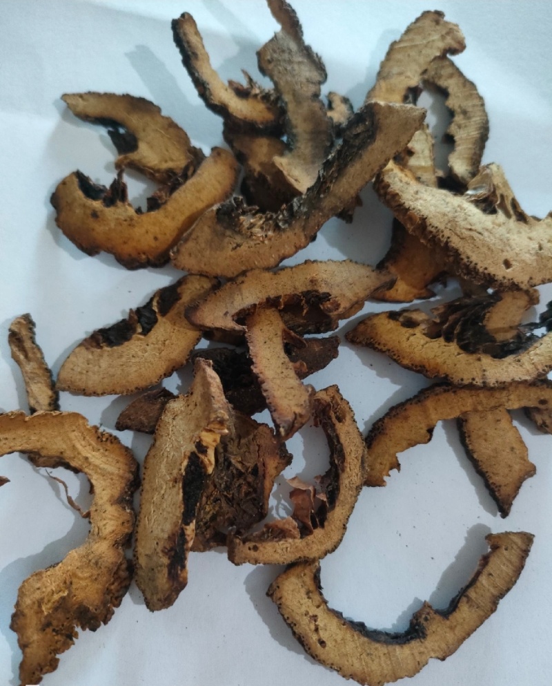 精品枳壳产地直发大量供应现货直发有机肥种植