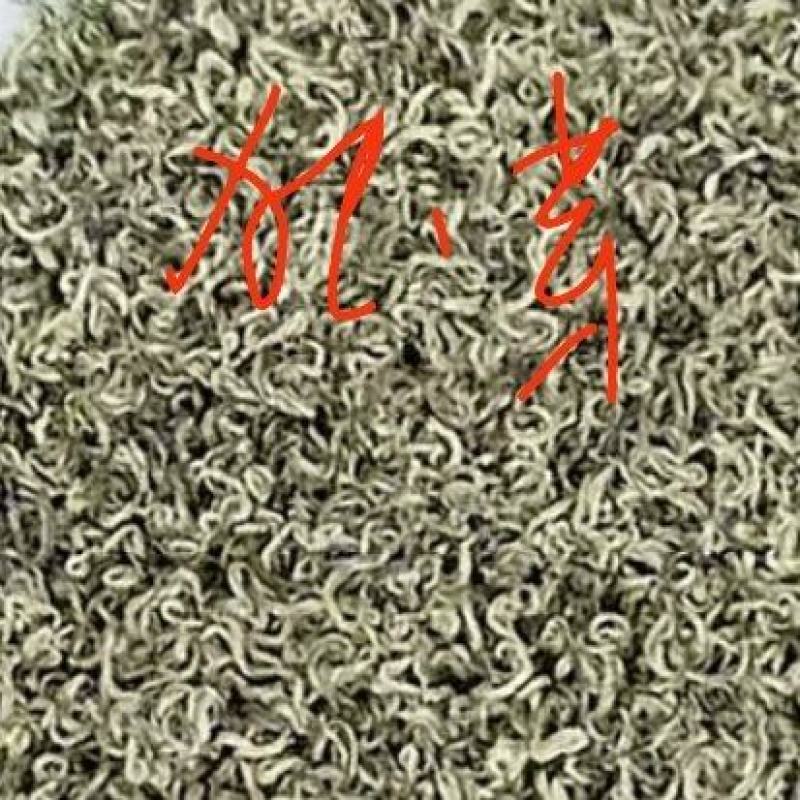 优质独芽毛尖