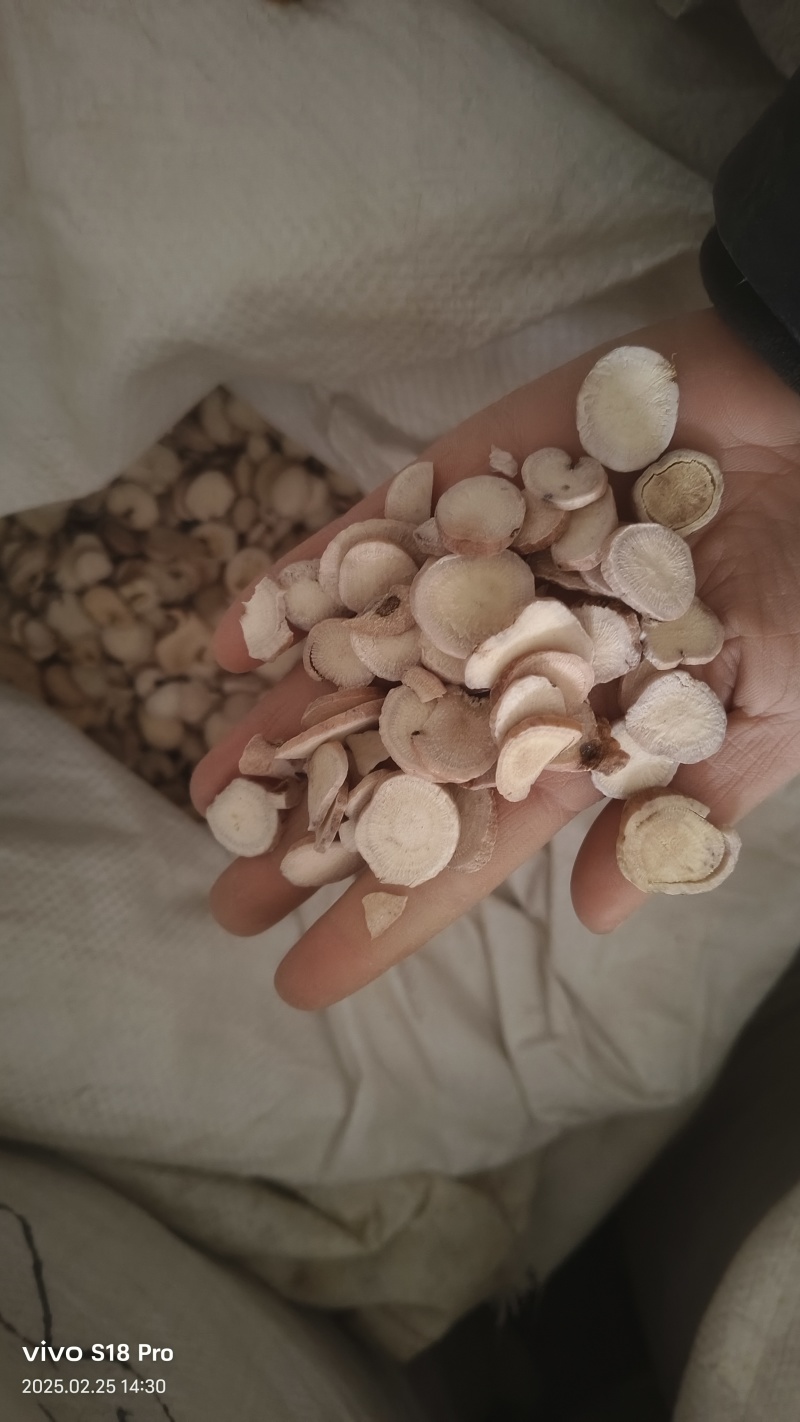 《白芍》白芍无硫片各种规格产地货源物美价廉