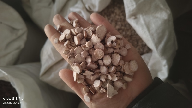 《白芍》白芍无硫片各种规格产地货源物美价廉