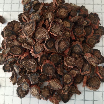 紫丹参，山东紫丹参无硫圆片产地直发过筛，实拍现货质量保证
