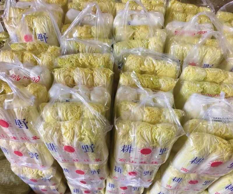 娃娃菜永年精品娃娃菜商超电商配货净菜加工代发全国