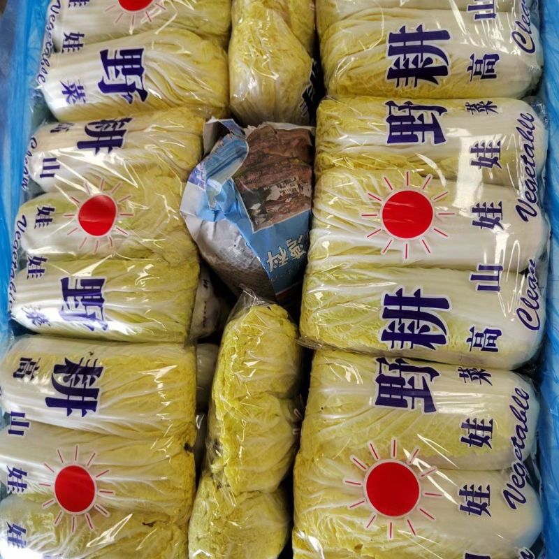 娃娃菜永年精品娃娃菜商超电商配货净菜加工代发全国