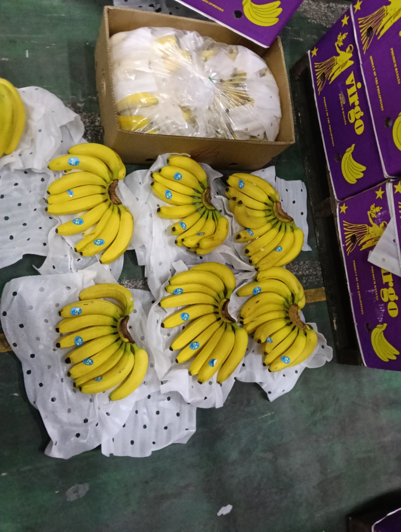 特价二黄蕉，口感软糯香甜，可发全国