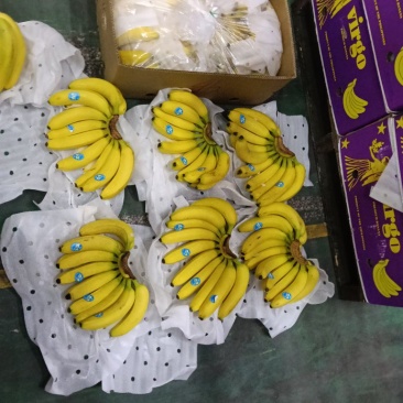 特价二黄蕉，口感软糯香甜，可发全国