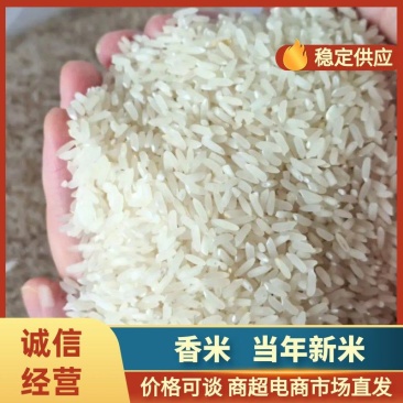 精品香米产地直发大量供应有机肥料种植