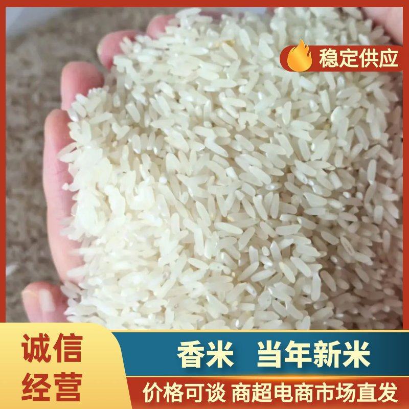 精品香米产地直发大量供应有机肥料种植