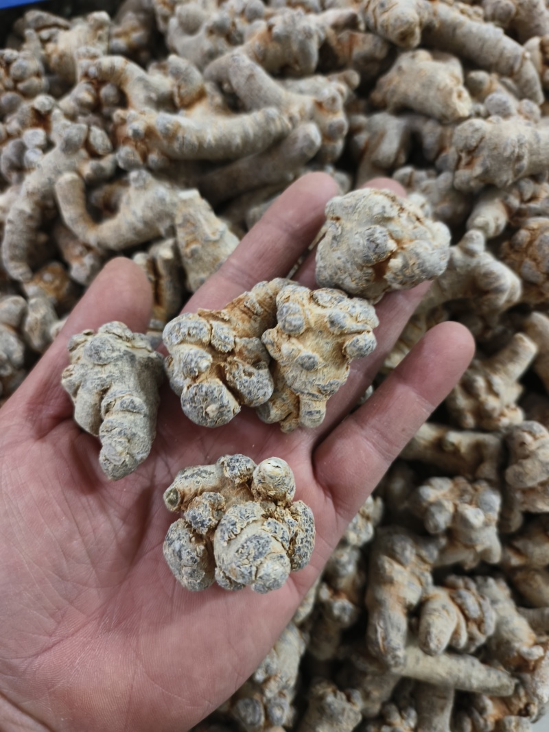 云南文山三七20头30头40头，源头产地，文山产地直发