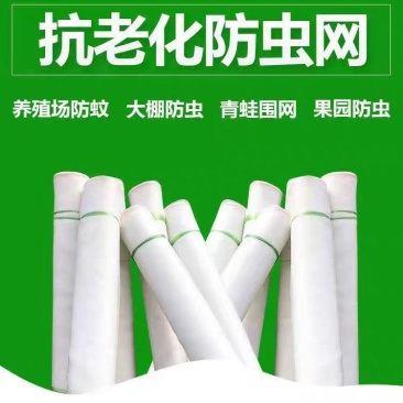 防虫网大棚果园猪场防蚊专用网莲雾网新果树脐橙尼龙网