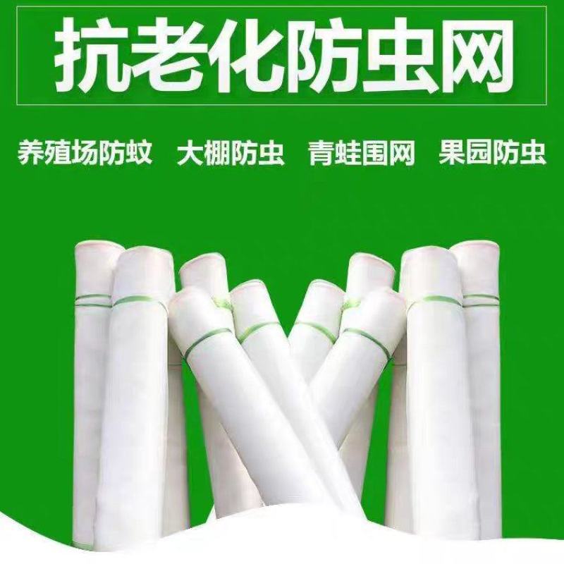 防虫网大棚果园猪场防蚊专用网莲雾网新果树脐橙尼龙网