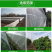 防虫网大棚果园猪场防蚊专用网莲雾网新果树脐橙尼龙网