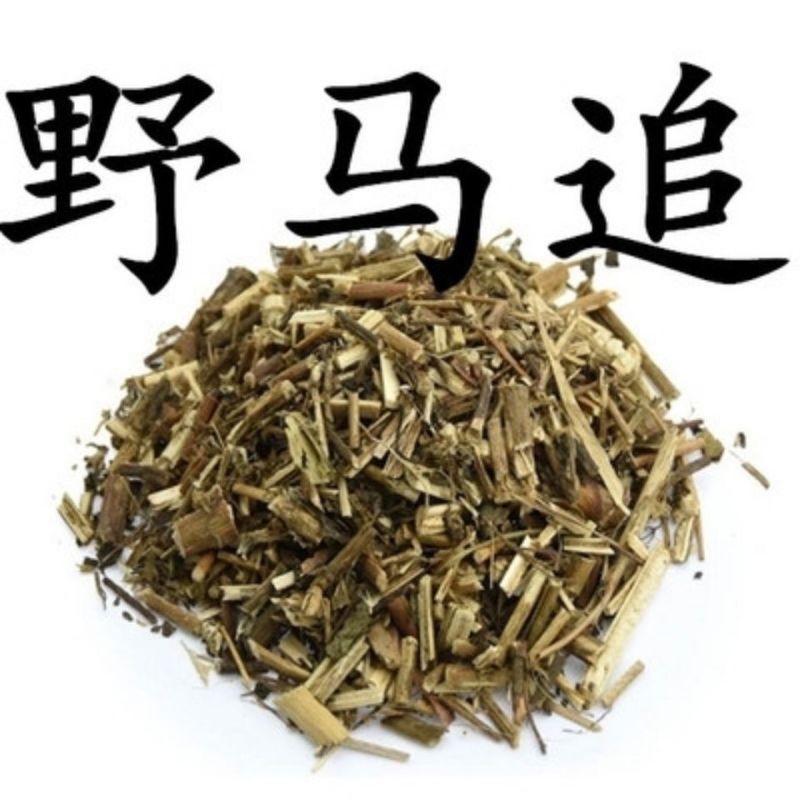 野马追中药材正品天然包邮