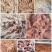 猪小肠冒节子厂家新鲜屠场纯干无苦味量大稳定
