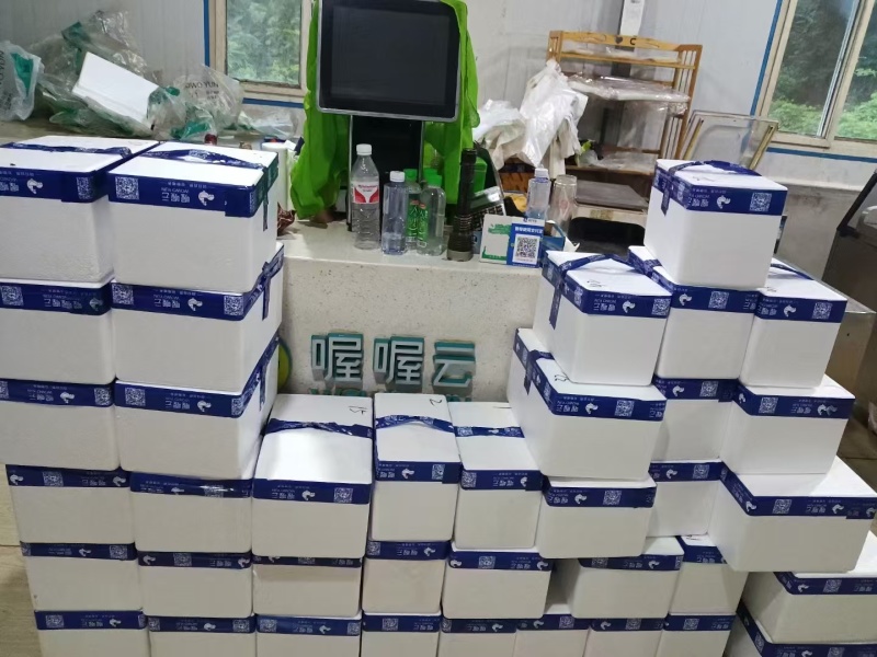 《真空包装》白条鸡常年供高山散养土鸡农家散养跑地鸡
