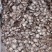 《槟榔片》大白片干净无杂质规格齐全货真价实