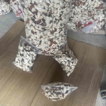 陈皮~1981年种的陈皮老树，极为稀有，需要联系