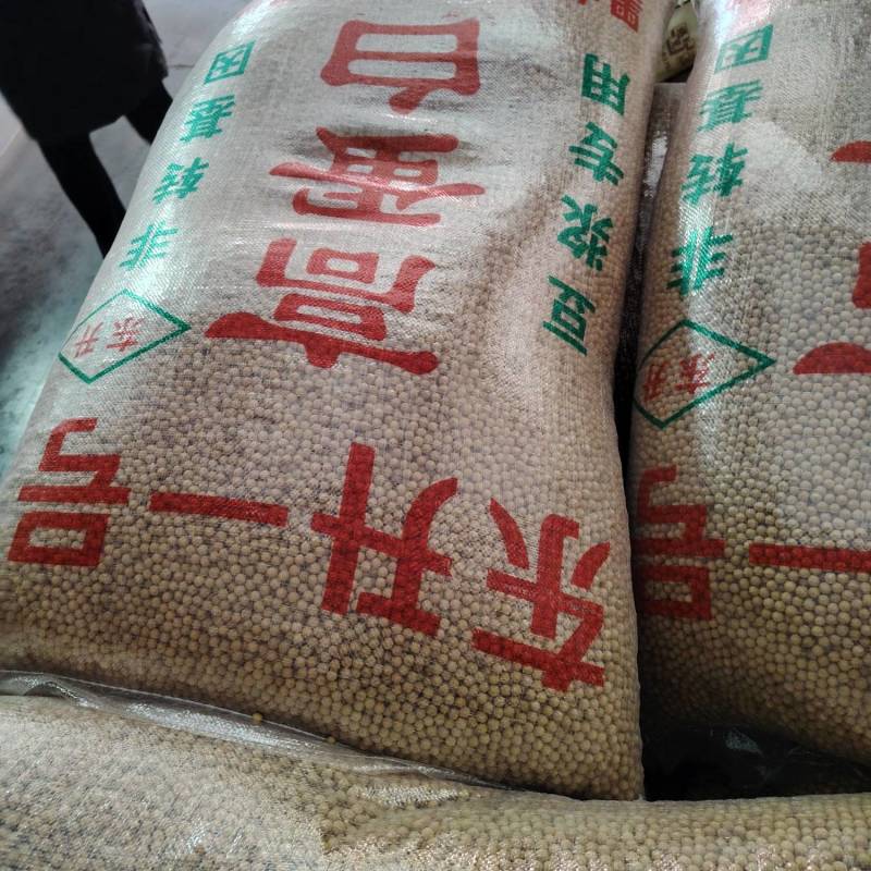 黄豆颗颗饱满，豆香浓郁，做菜、打豆浆，样样行！