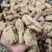 云南昭通天麻精品肉质厚提供切片服务假一赔十