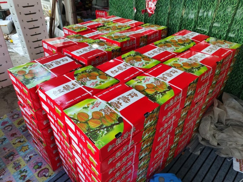 红龙杨桃