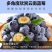 云南花香蓝莓，支持一件代发，各大电商平台，