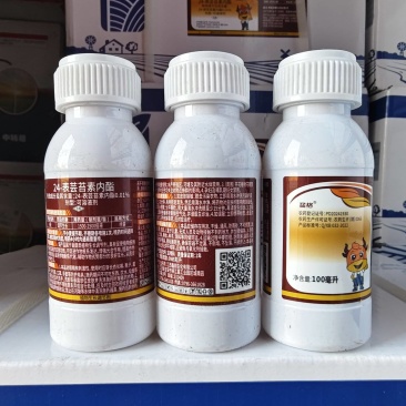 24表芸苔素内酯(整箱批)可溶液剂芸苔素内酯