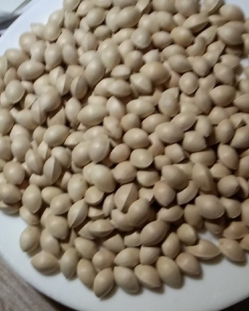 山东白果