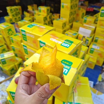 三亚贵妃芒