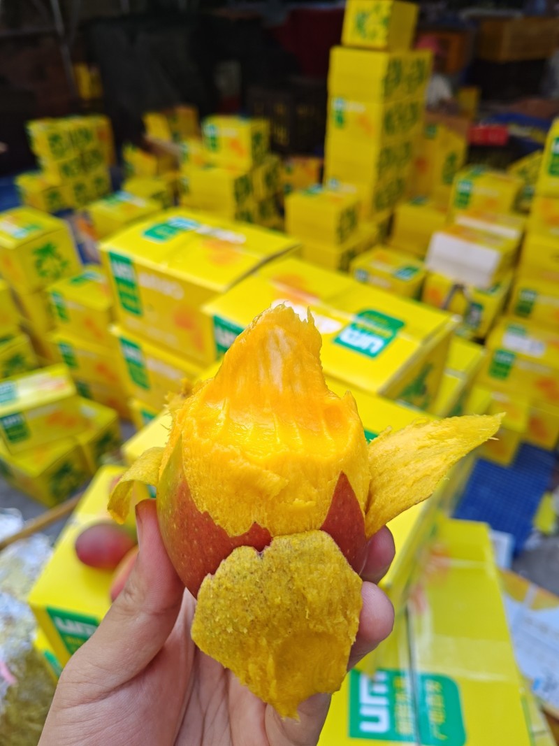 三亚贵妃芒