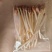 【推荐】花生芽/一手货源/量大优惠/视频看货/欢迎咨询