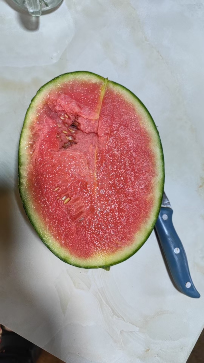 小吊瓜精品礼品西瓜大量有货对接电商
