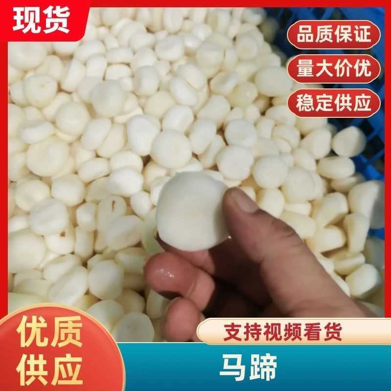 厂家批发速冻优品白马蹄，口感好清甜爽脆化渣，库存100吨