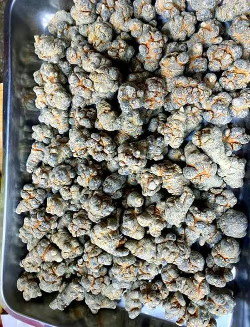 水洗20头滑三七长期供应云南文山原产地三七精品保质保量