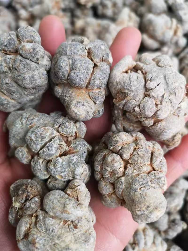 水洗20头滑三七长期供应云南文山原产地三七精品保质保量