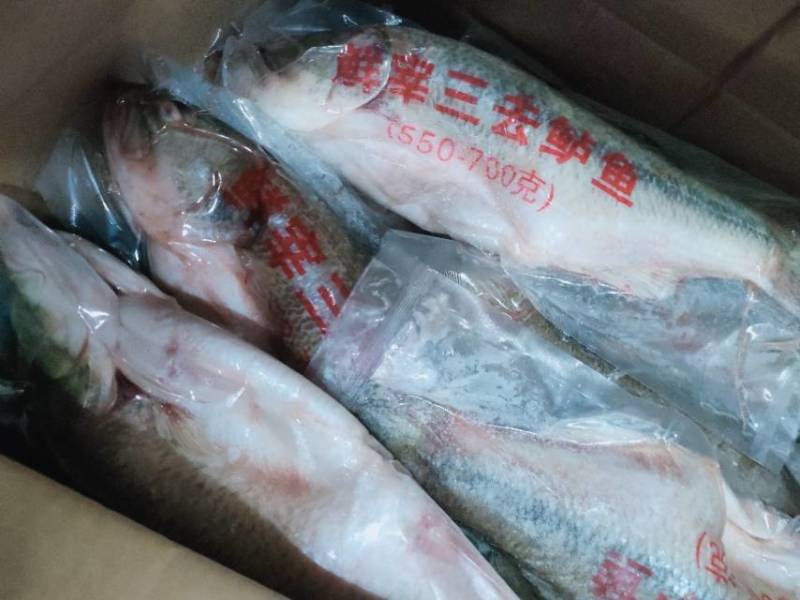 鲈鱼三去真空鲜鲈鱼