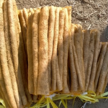 小白嘴