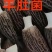 羊肚菌上市了，质量保证，欢迎选购，电商平台供应，超市供应