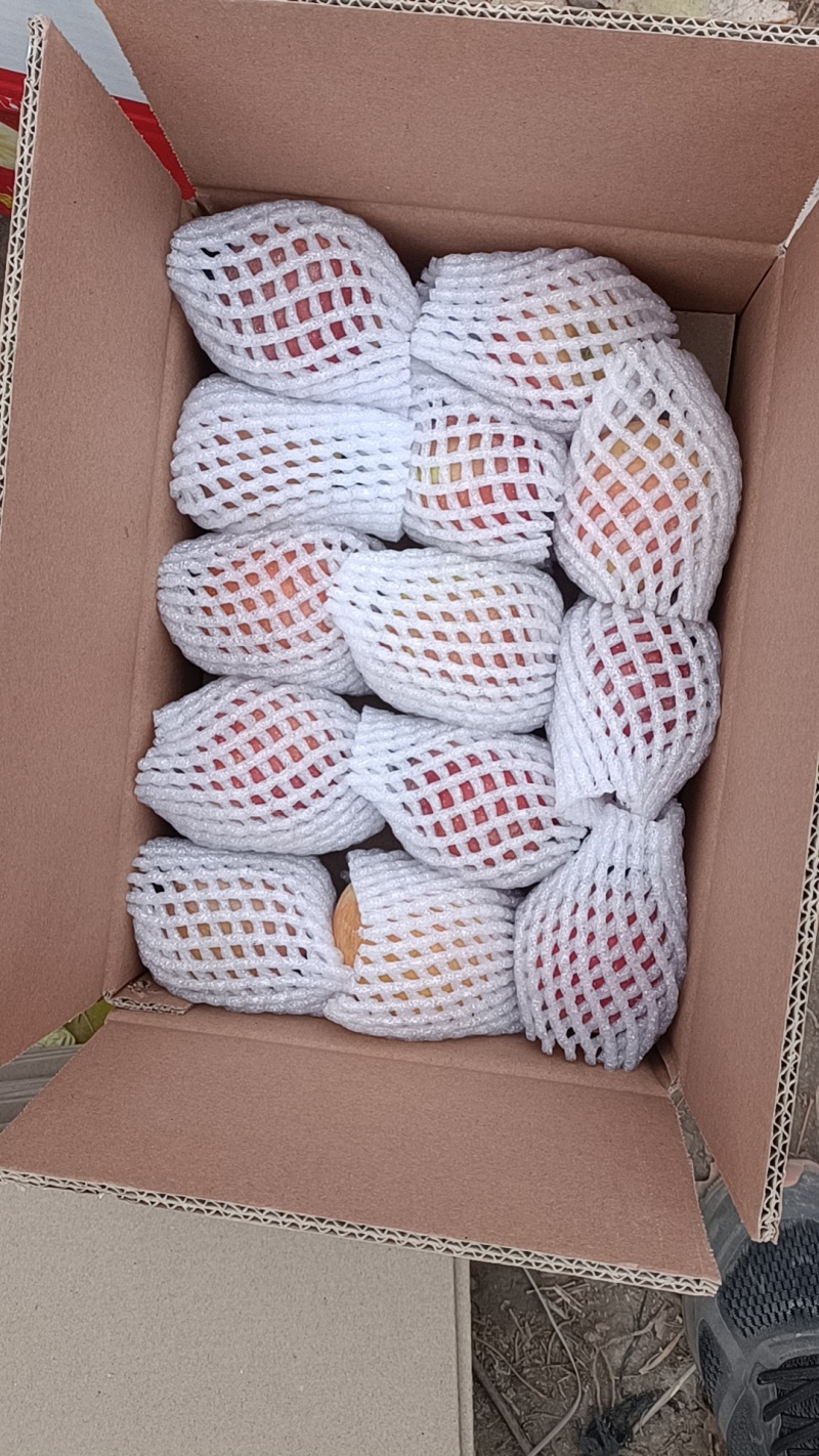 阿克苏冰糖心苹果