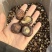 包邮油面新冬菇2～2.5～3厘米干香菇量大从优